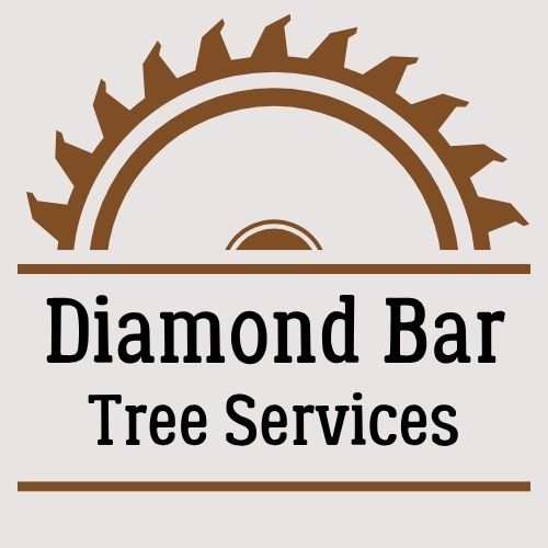 RockPack Diamond Bar Tree Services logo